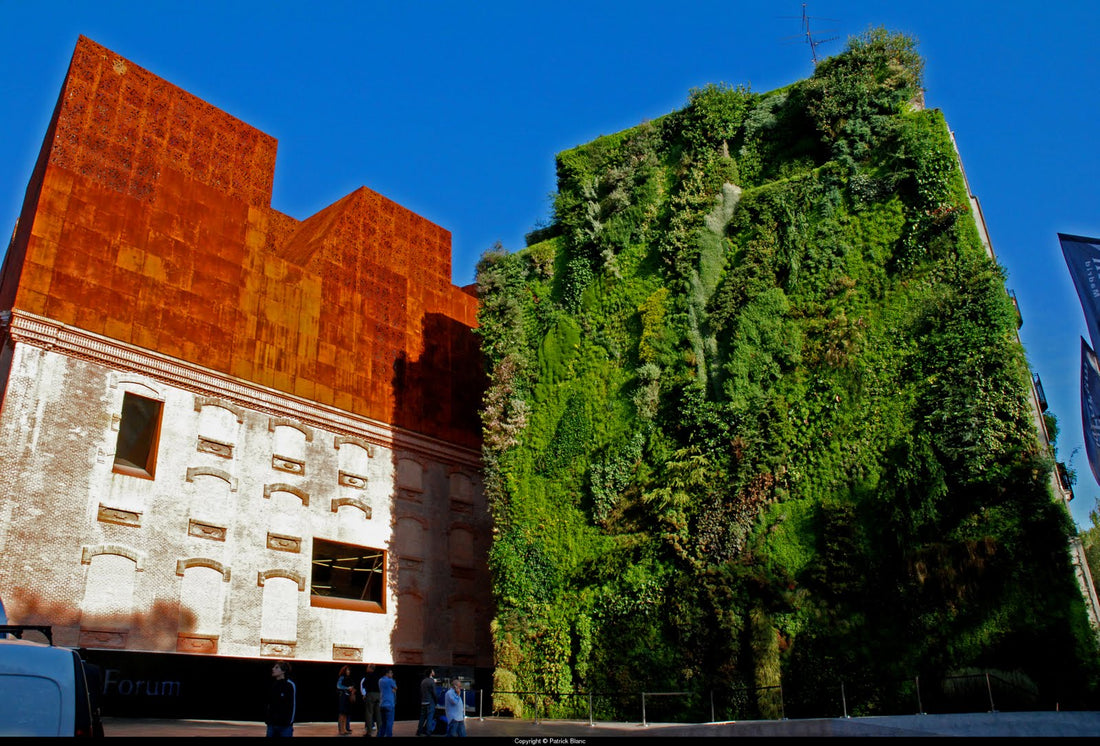 La prima Parete Verticale nella storia.