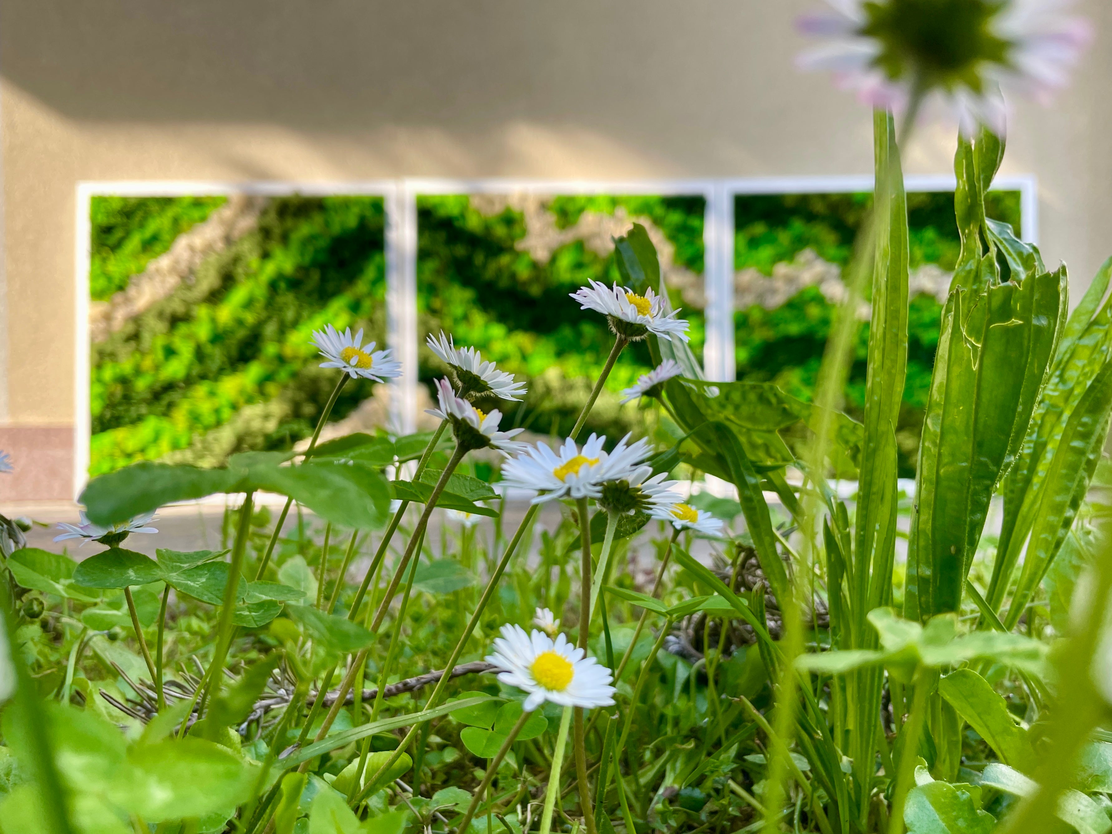 Quadri Giardino Spirituali