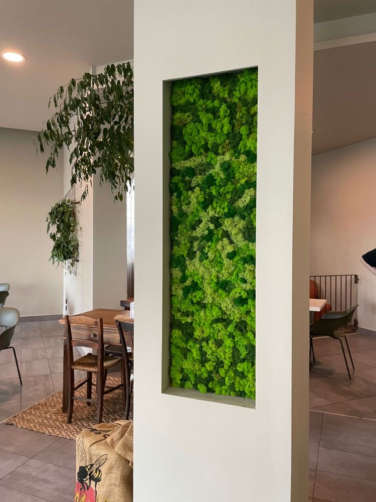 Mini giardini su mensole e nicchie: la natura che si insinua tra le linee di casa