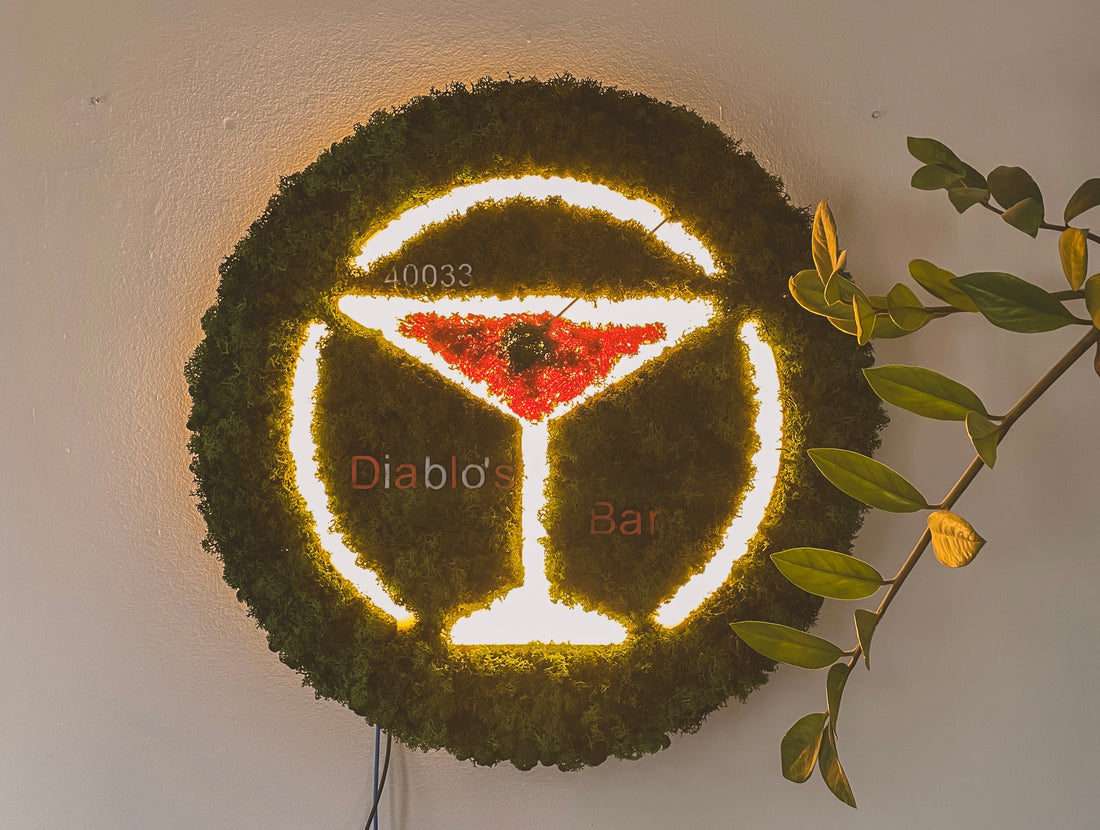 Il giardino verticale di Mattia