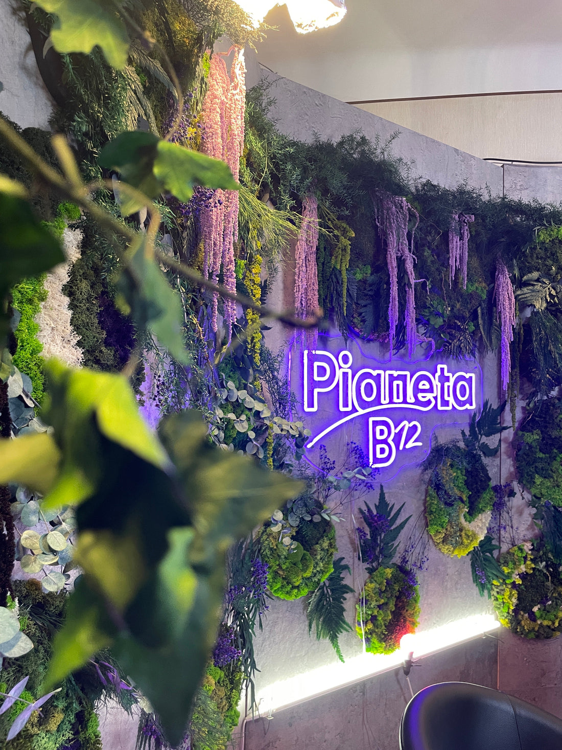 🌿 Come abbiamo trasformato lo studio di Pianeta B12 in un fondale vegetale d’autore