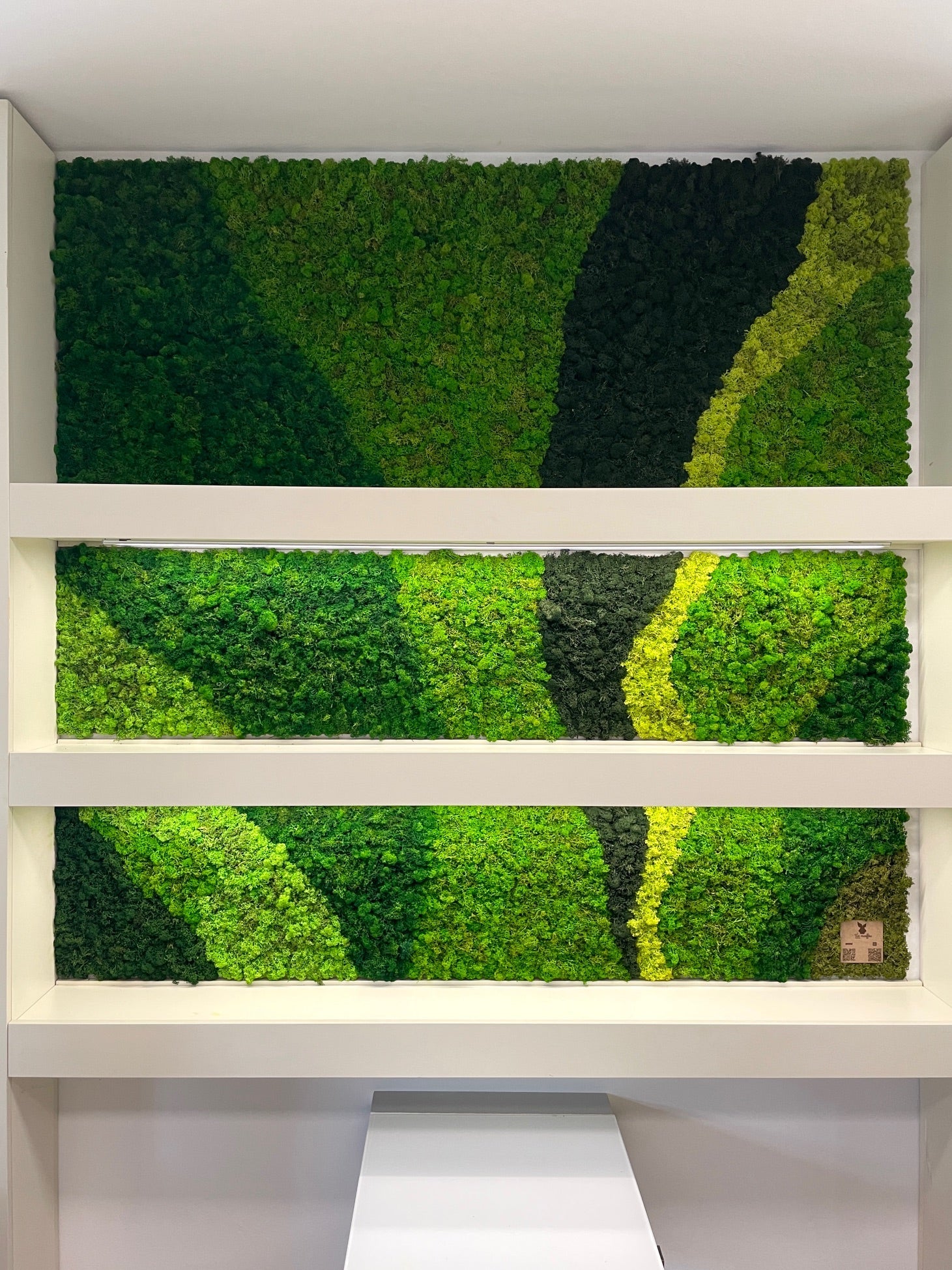 Giardino Verticale e Verde Stabilizzato: Come Trasformare un Negozio di Ottica