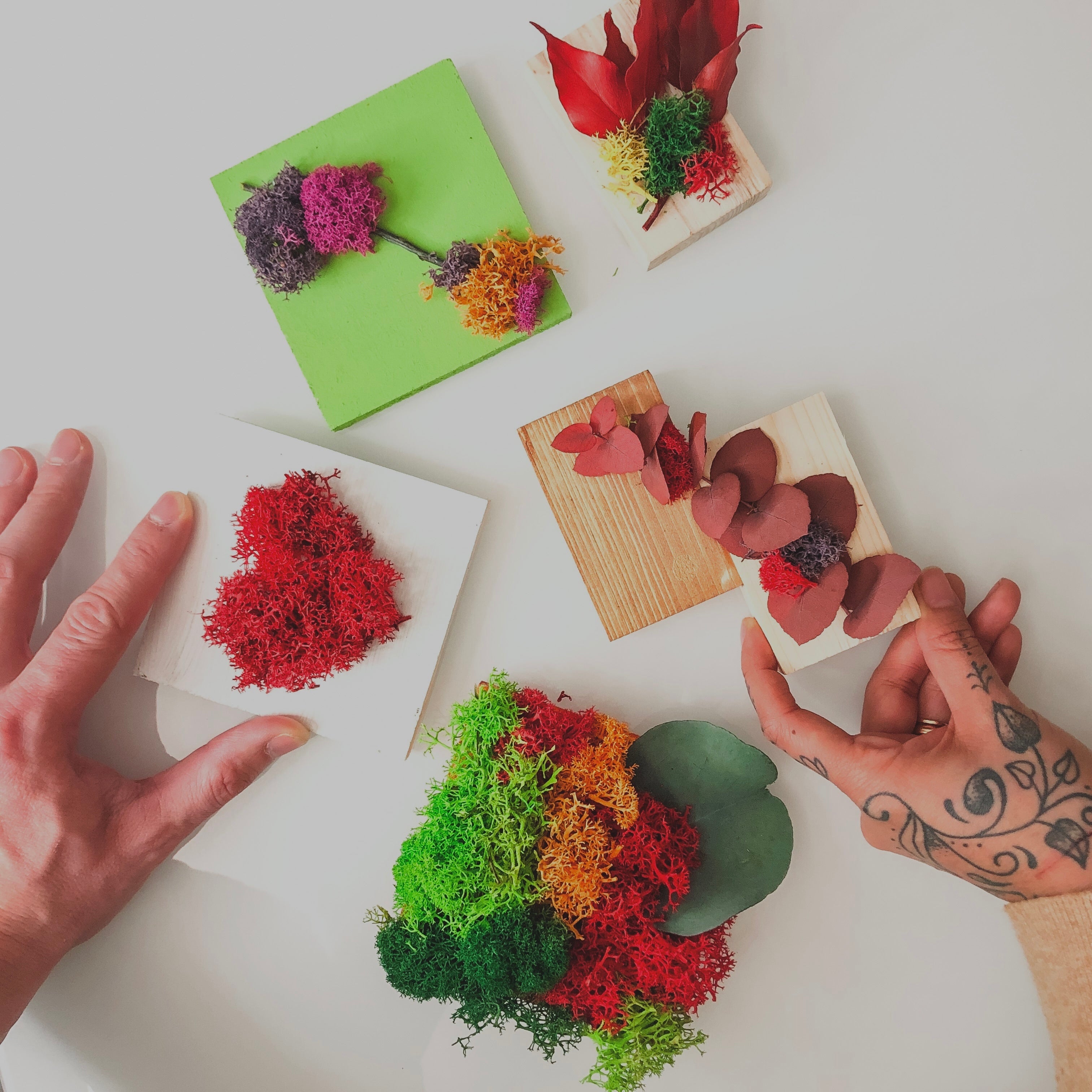 COLLEZIONE MINI DELIZIE