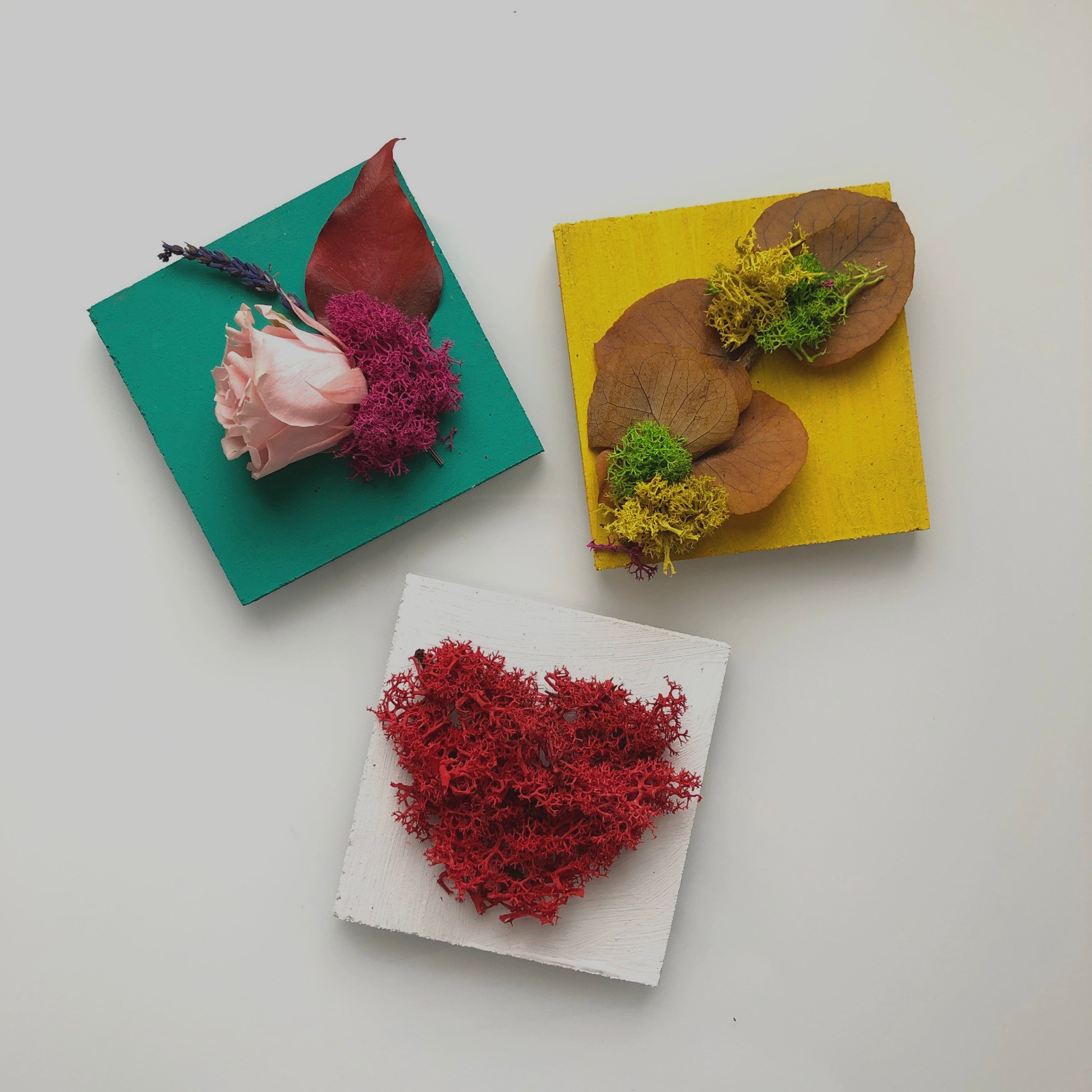 Mini assaggi Box Mini MAFFIN x 3