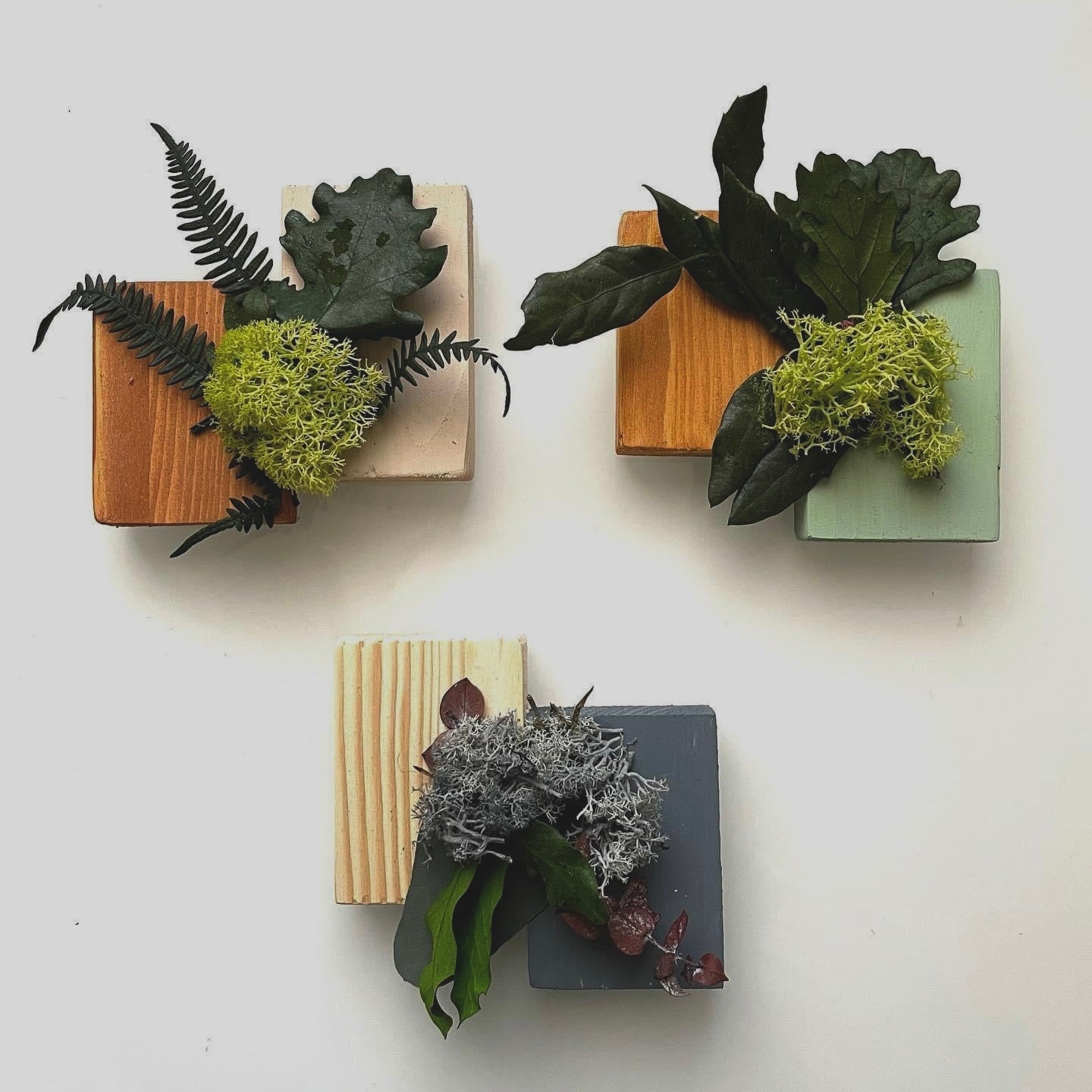 Mini assaggi Box Mini Sushi