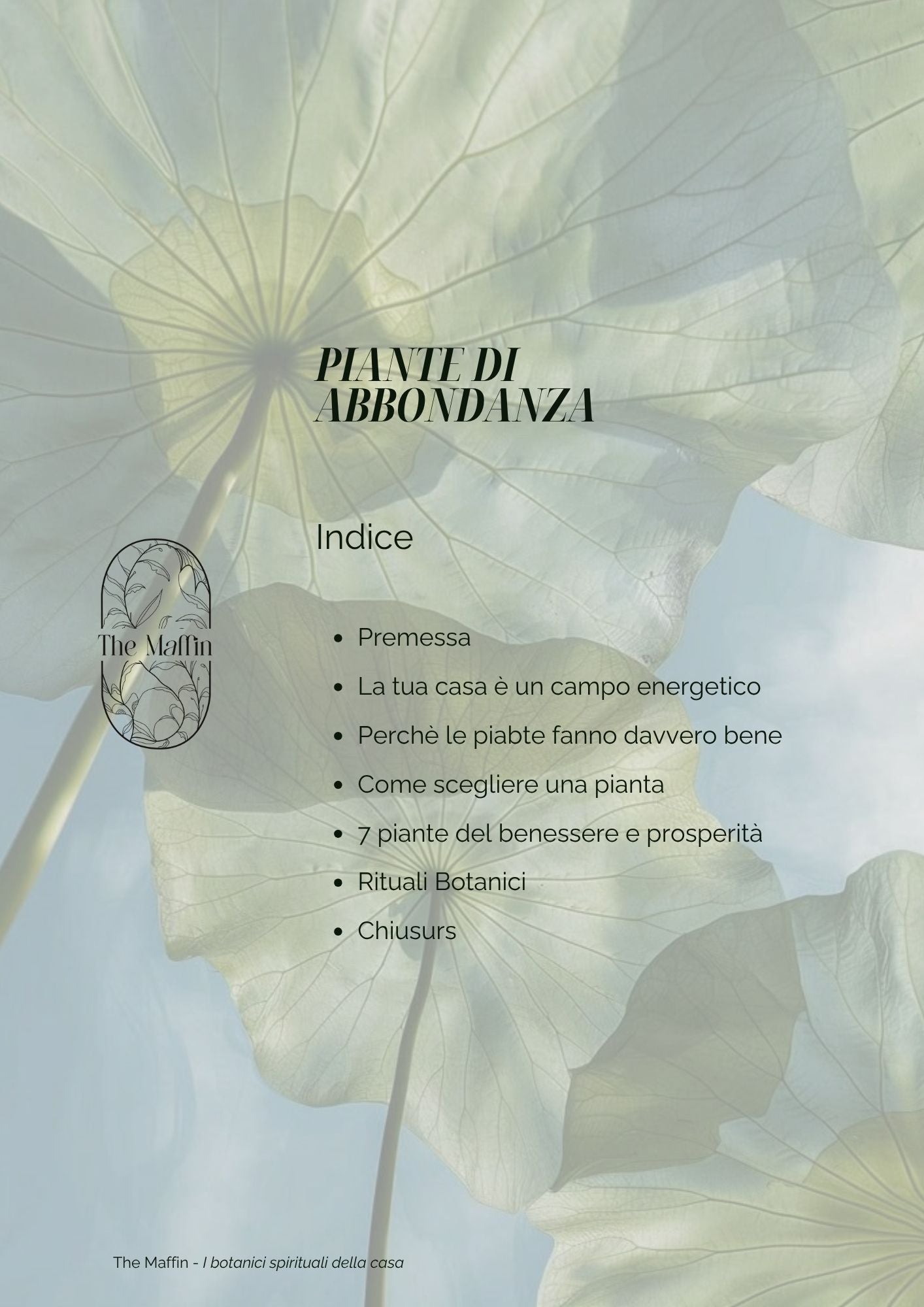 E-BOOK Piante di Abbondanza