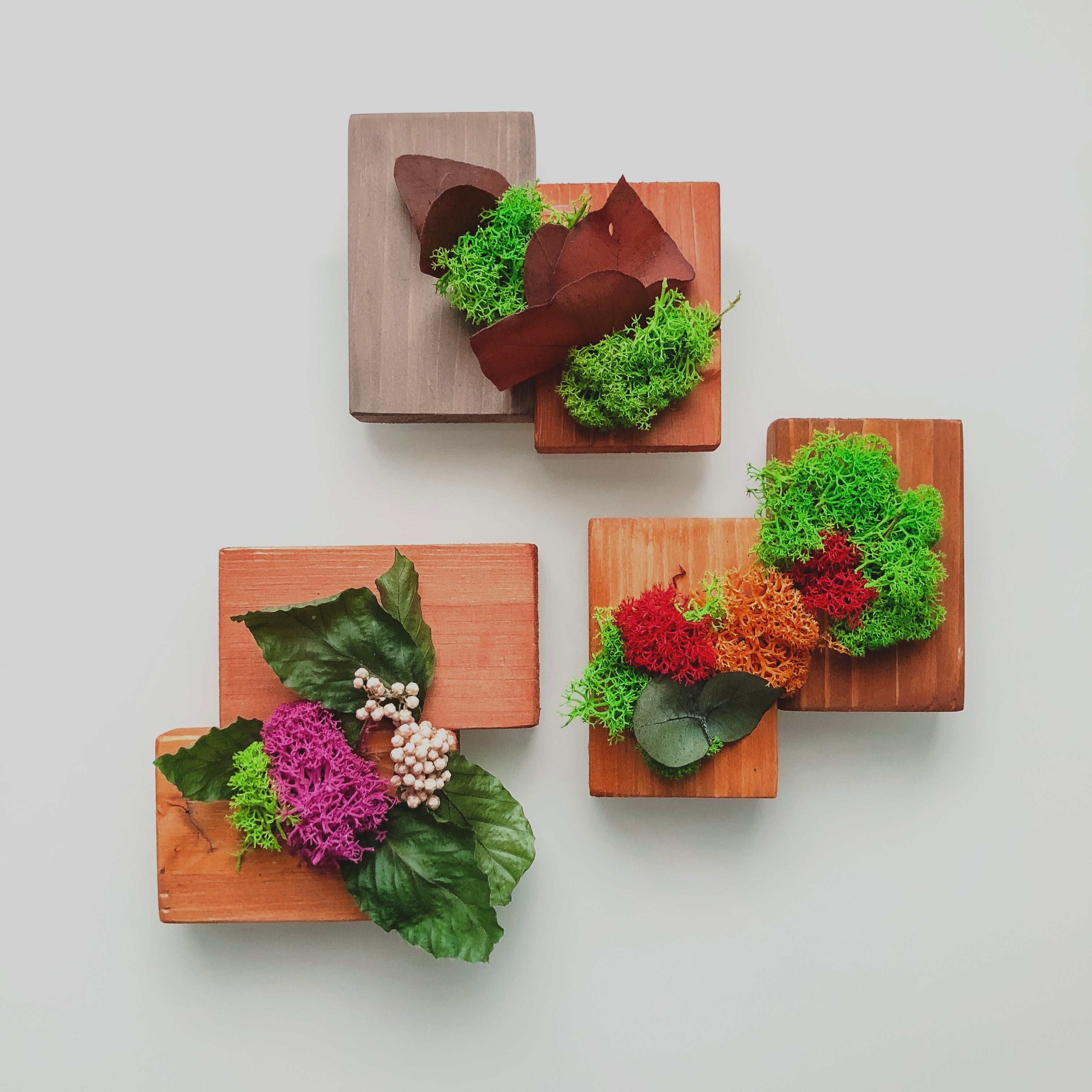 Mini assaggi Box Mini Sushi