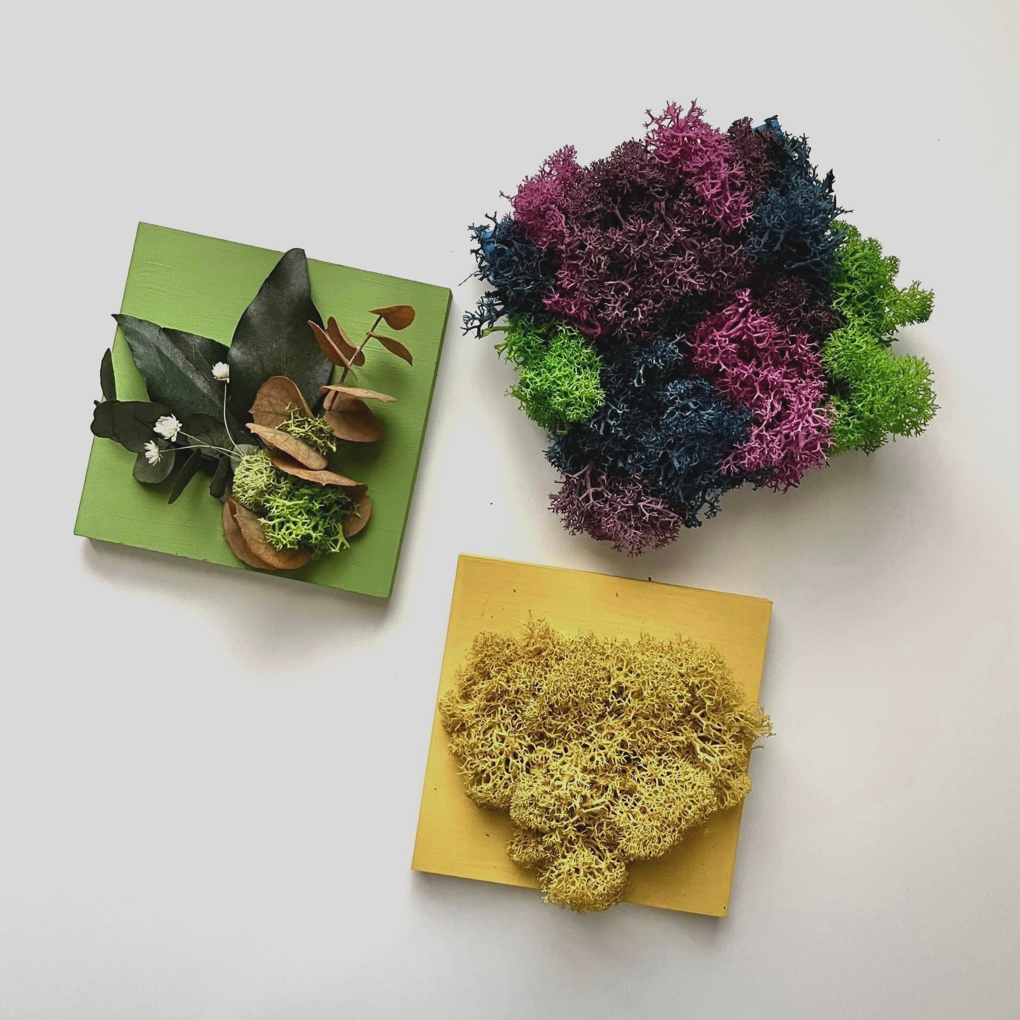 Mini assaggi Box Mini MAFFIN x 3