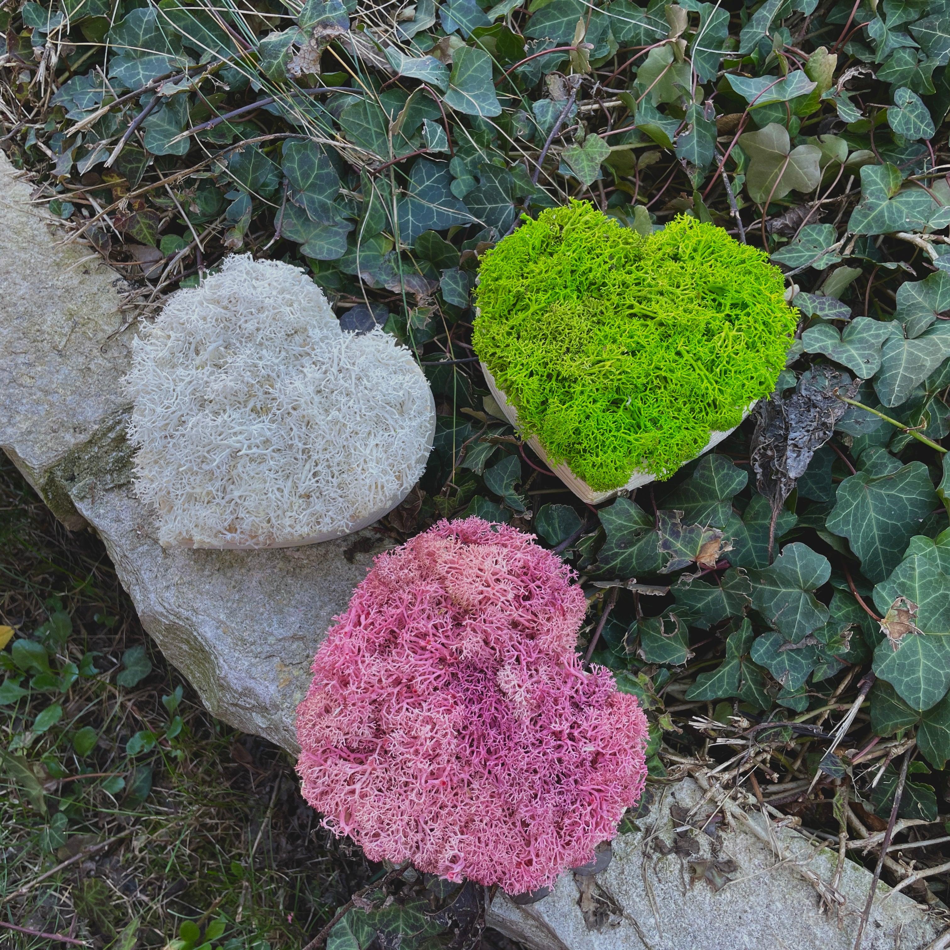 Mini Cuoricini Box 3 pezzi