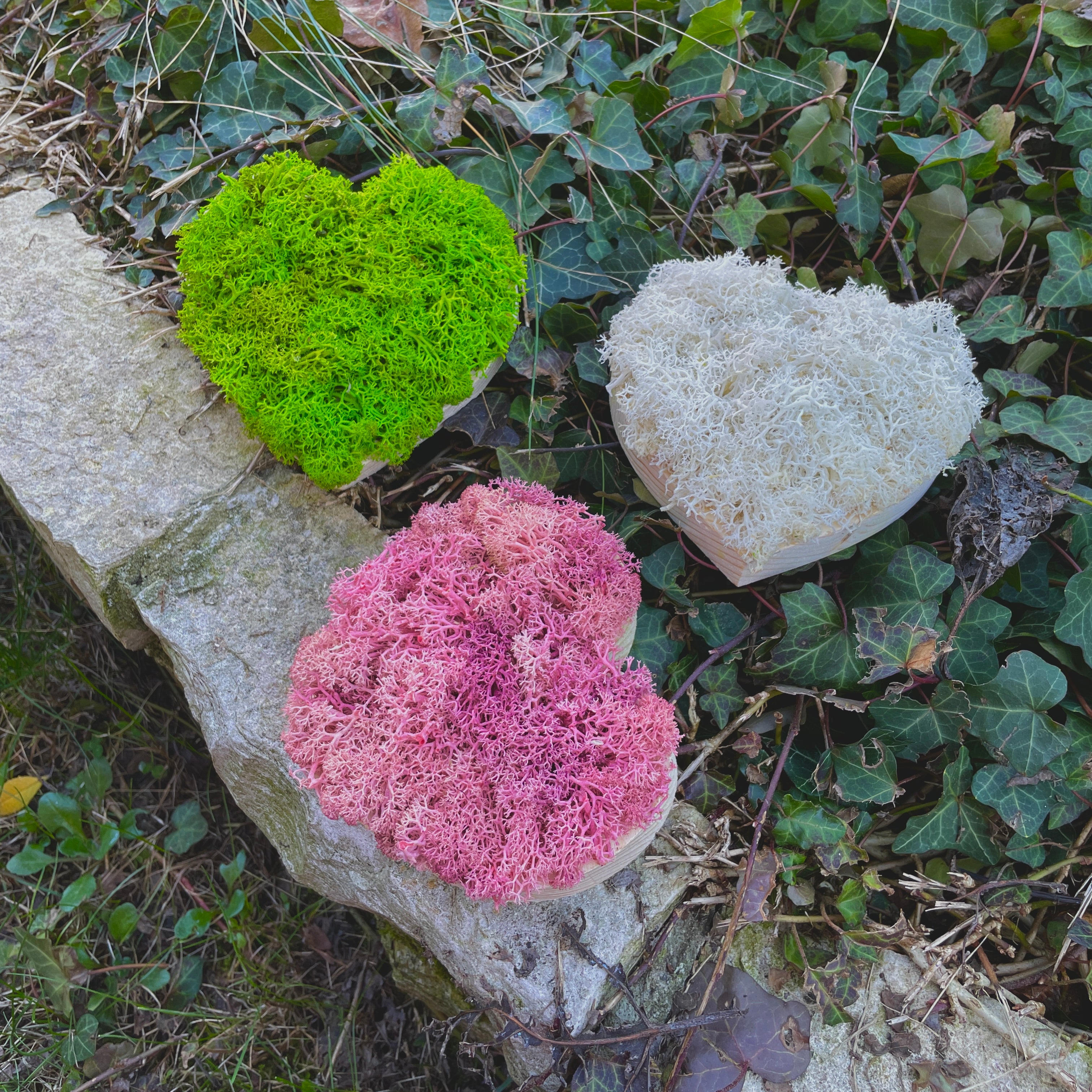 Mini Cuoricini Box 3 pezzi