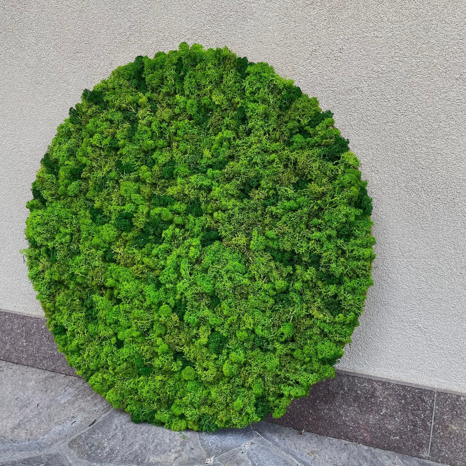 Giardino Verticale Rotondo