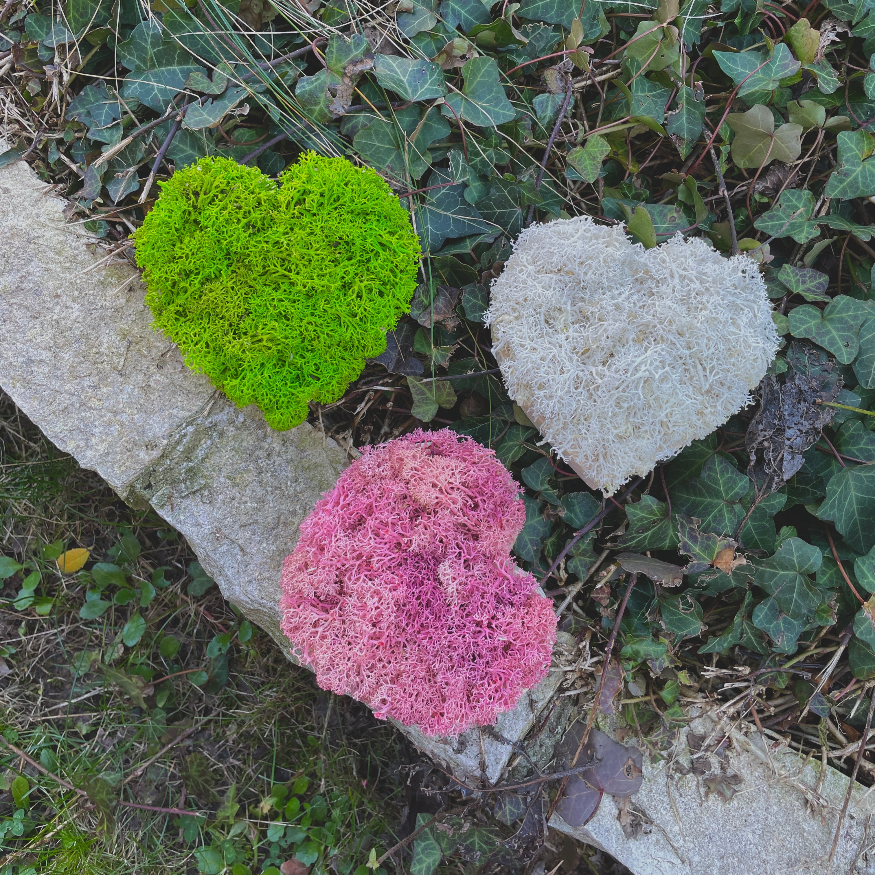 Mini Cuoricini Box 3 pezzi