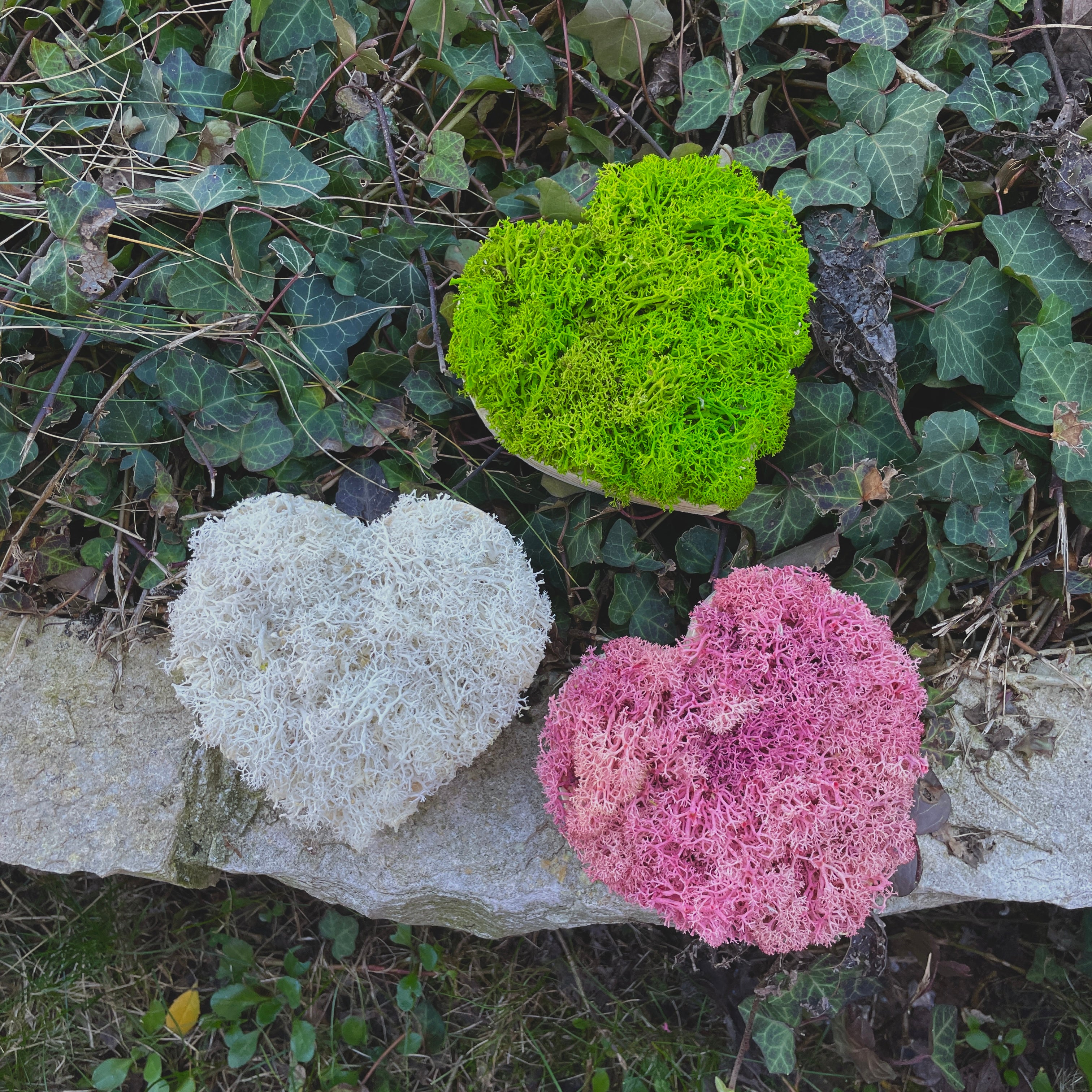 Mini Cuoricini Box 3 pezzi