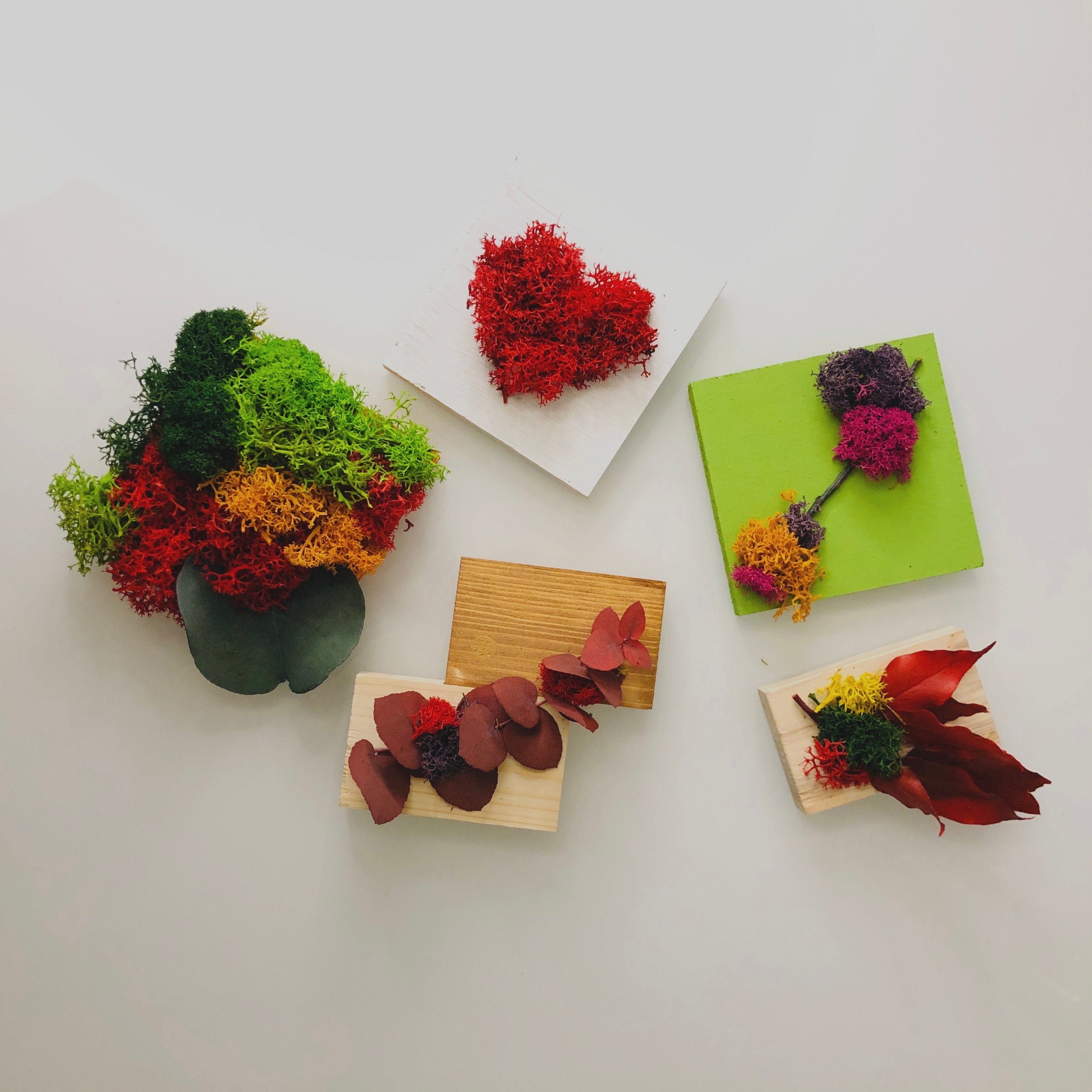 Mini Assaggi Box Mini MAFFIN x 5