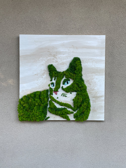 Animals