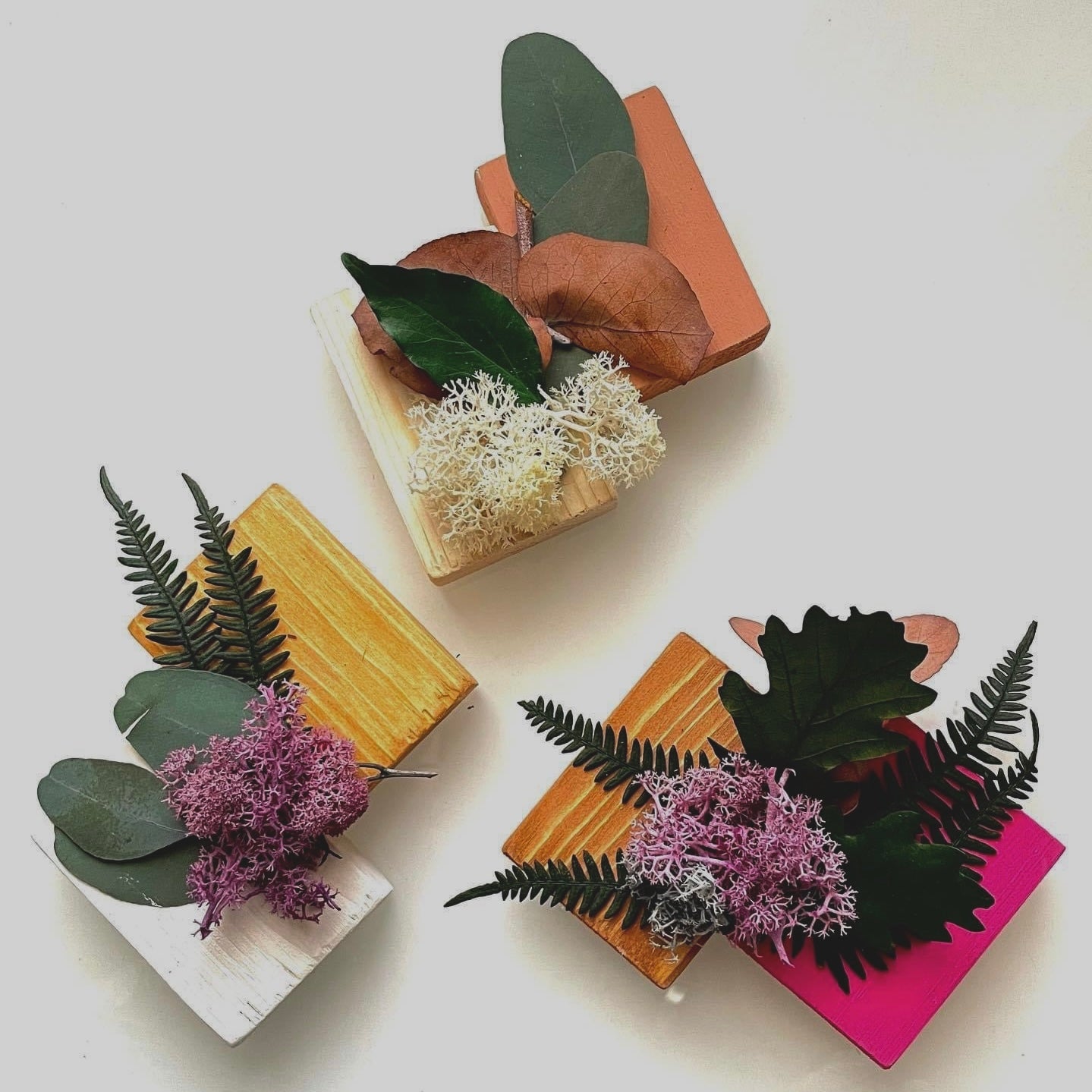 Mini assaggi Box Mini Sushi