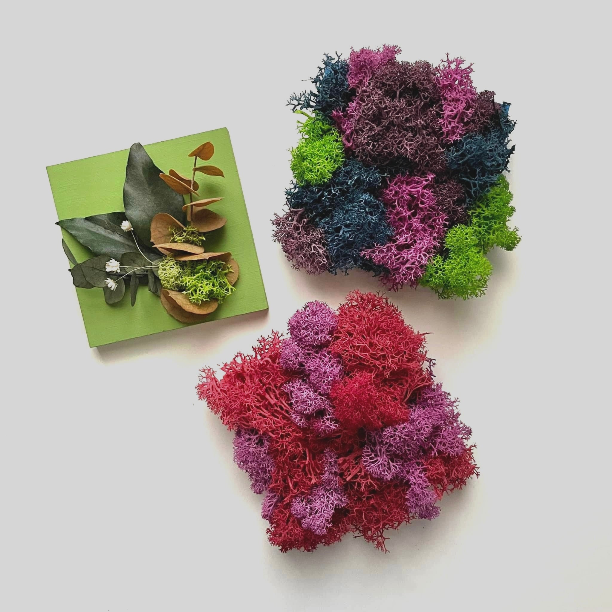 Mini assaggi Box Mini MAFFIN x 3