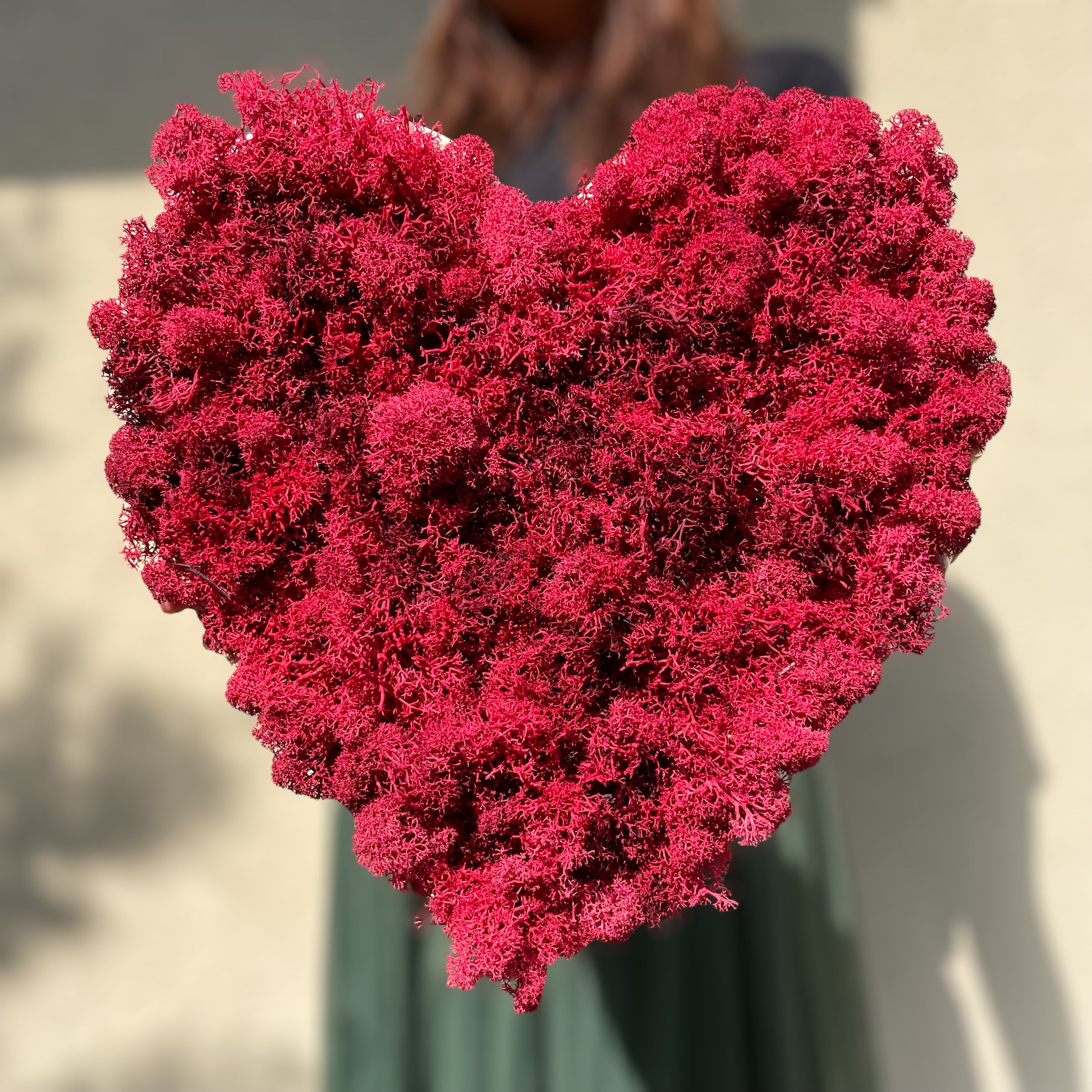 Giardino Verticale Cuore