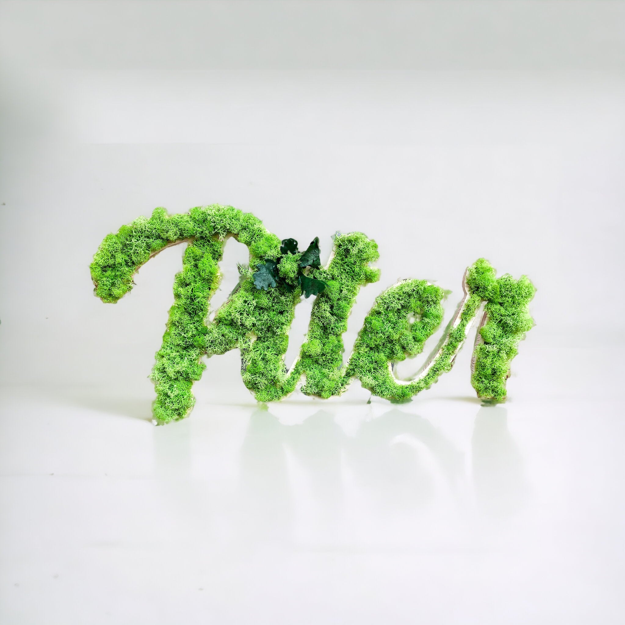 Scritte 3D in Verde Stabilizzato