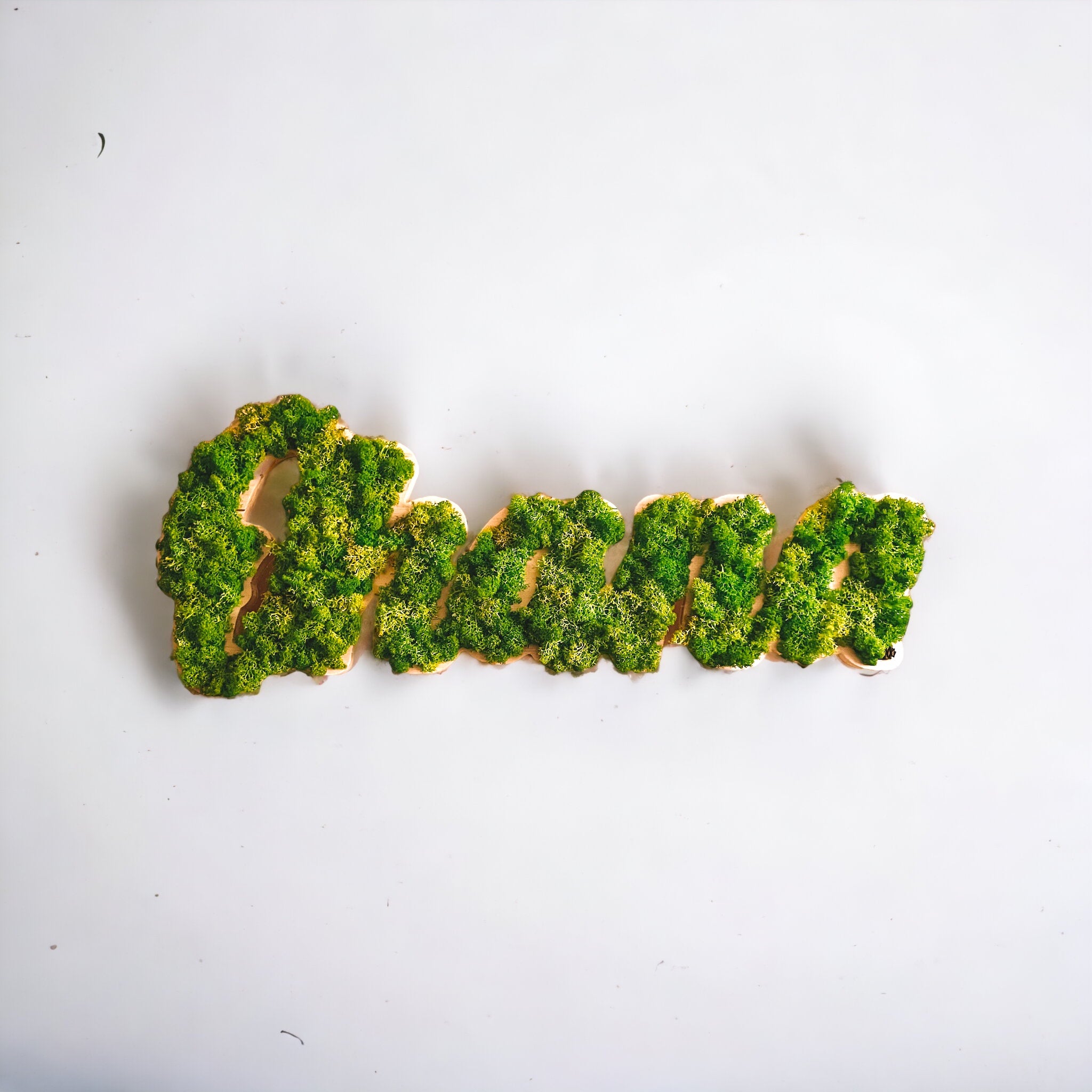 Scritte 3D in Verde Stabilizzato