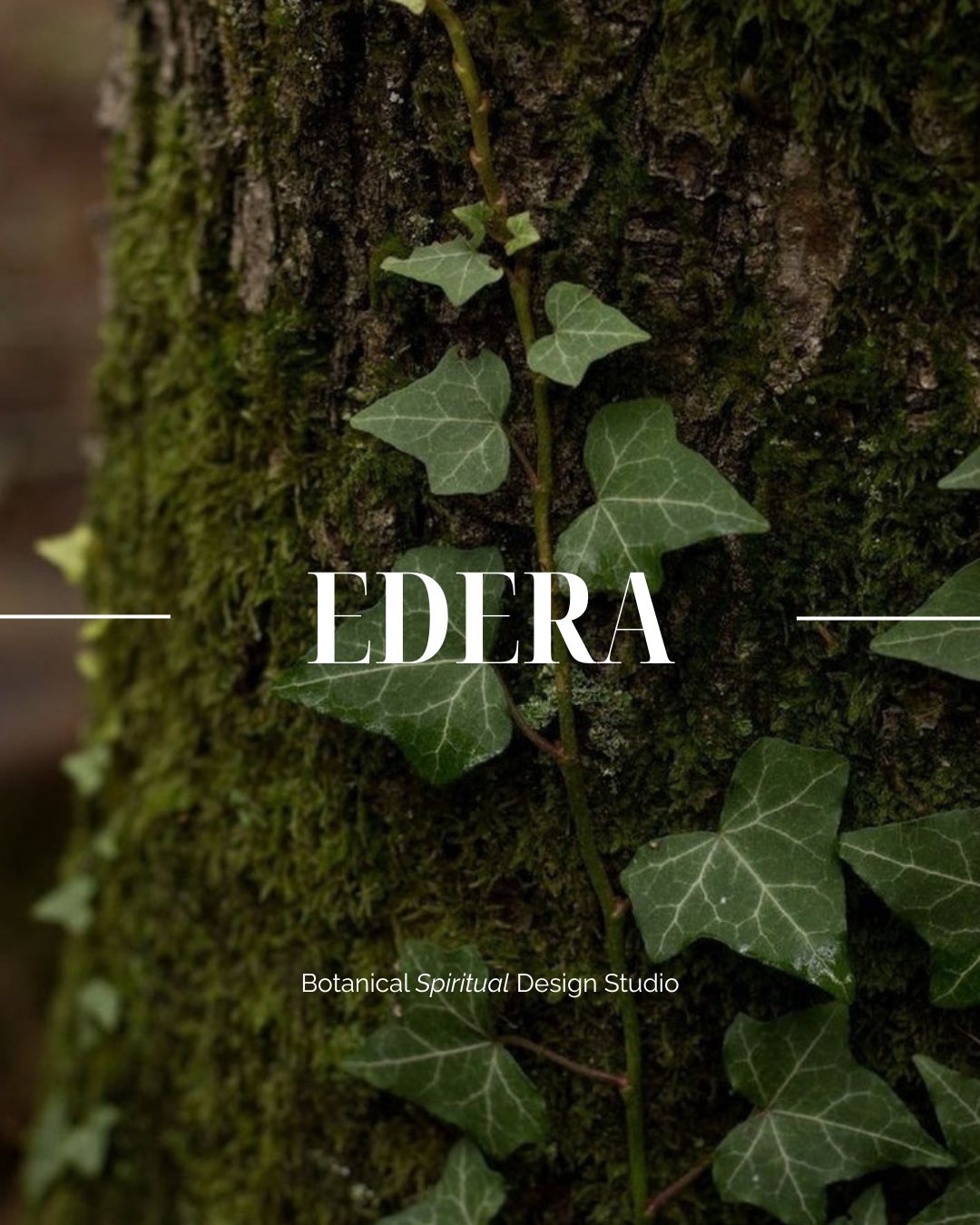 Consulenza Edera